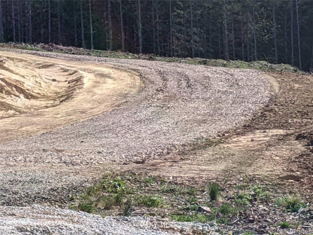 0 Senn Road Chehalis, WA 98532 - Photo 8 of 9 a view of a backyard of the house