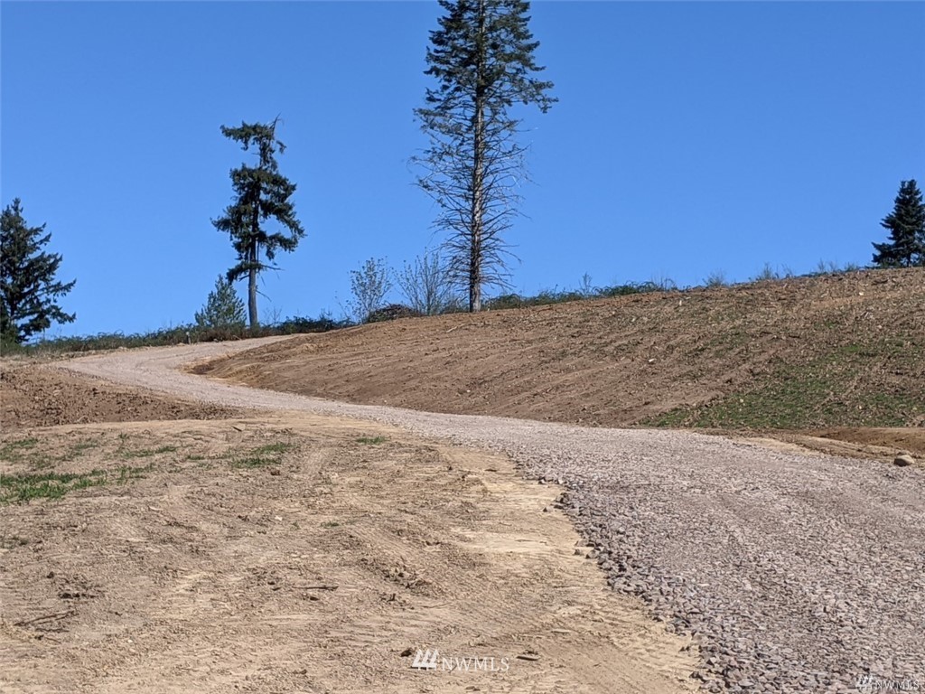 0 Senn Road Chehalis, WA 98532 - Photo 9 of 9 a view of a backyard of a house
