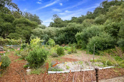 a view of a garden area with plants