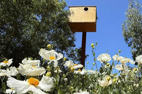 a view of a house with a yard and sitting area