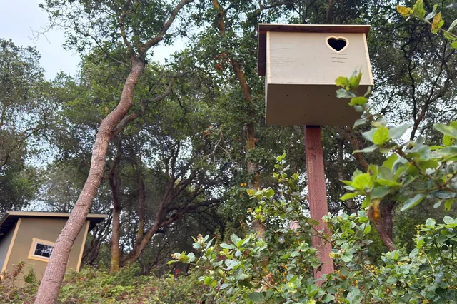 a view of a flower in a garden