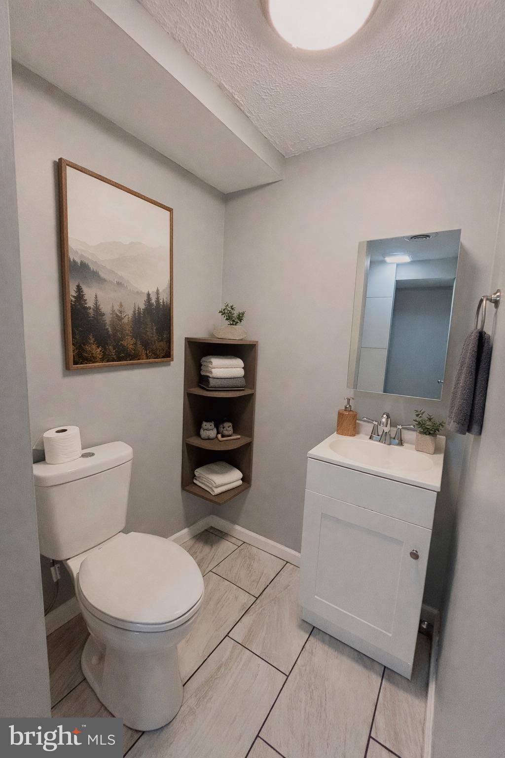 138 Parkside Road Linden, VA 22642 - Photo 31 of 38 a bathroom with a toilet a sink and a mirror