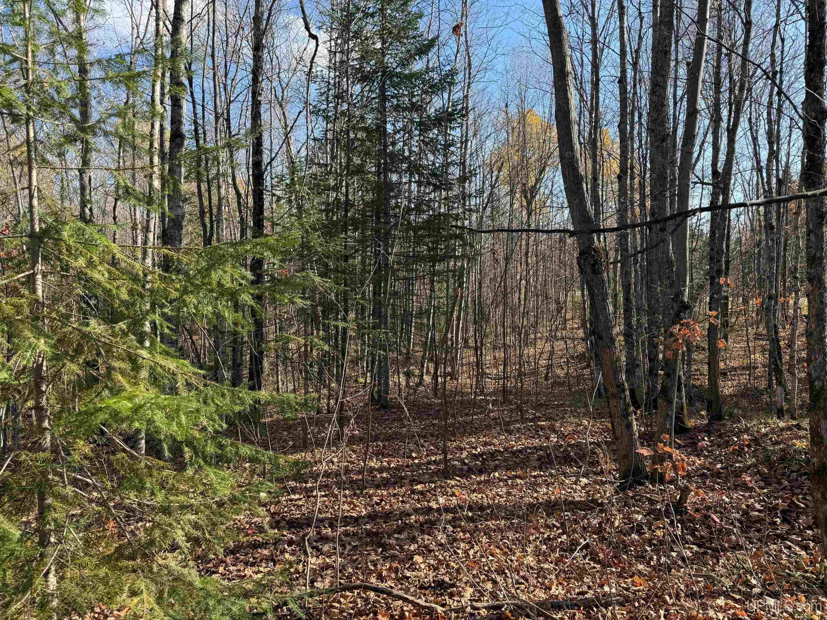 Tbd102 Firesteel Road Ontonagon, MI 49953 - Photo 11 of 18