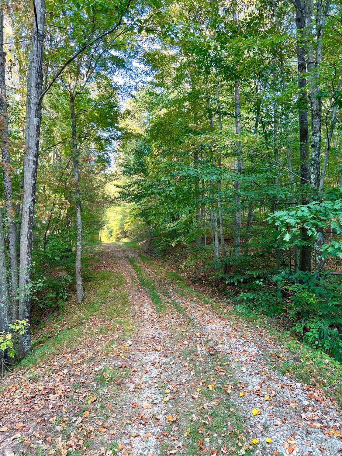 0 South Chenoweth Fork Road Piketon, OH 45661 - Photo 15 of 95