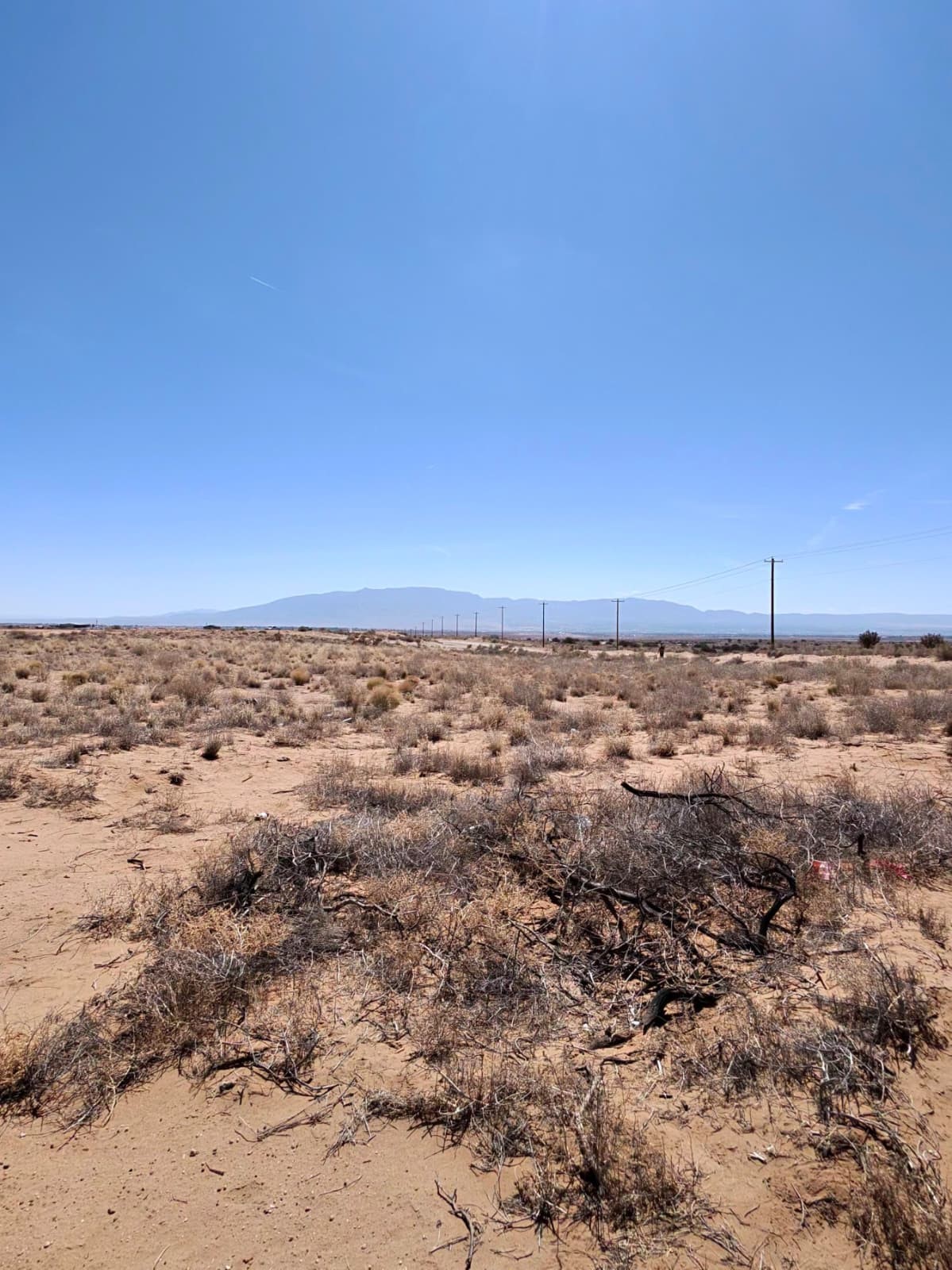 1002 38th Street Southwest Rio Rancho, NM 87124 - Photo 2 of 11