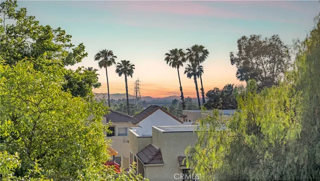 an aerial view of a house with a yard and palm trees
