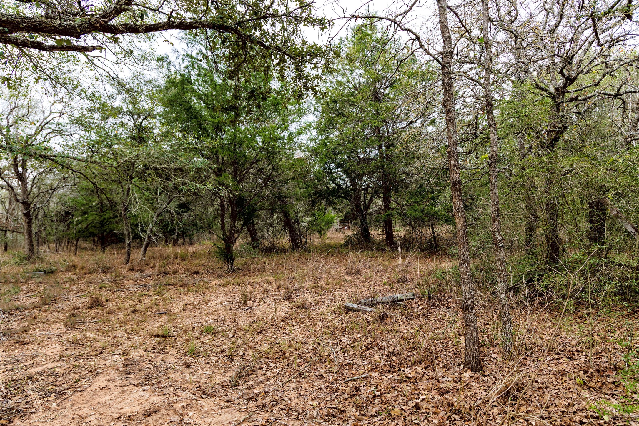 0 County Road 123 Sublime, TX 77986 - Photo 10 of 18 This beautiful piece of land offers the perfect blend of seclusion and natural charm filled with white oak trees.