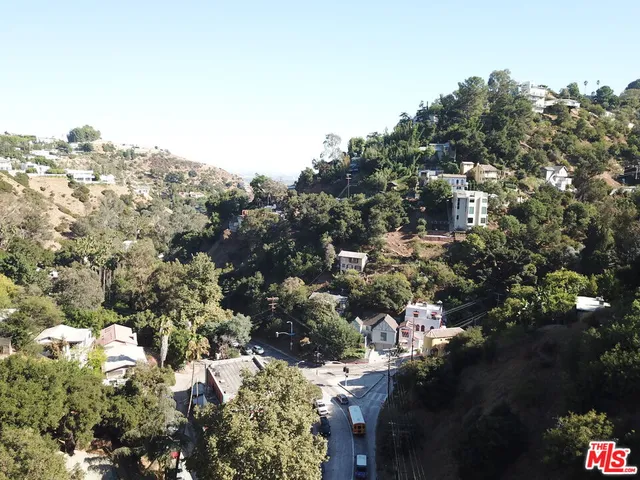 a picture of water with a tree