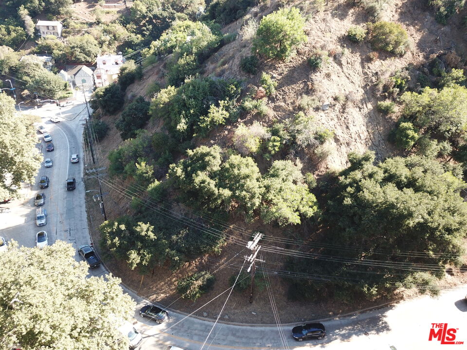 2125 Laurel Canyon Boulevard Los Angeles, CA 90046 - Photo 5 of 8 a picture of tree