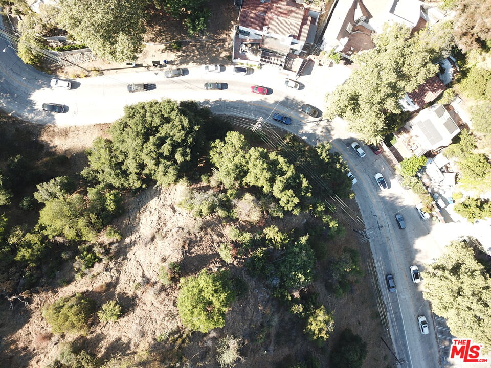 2125 Laurel Canyon Boulevard Los Angeles, CA 90046 - Photo 6 of 8 a view of a yard with a tree