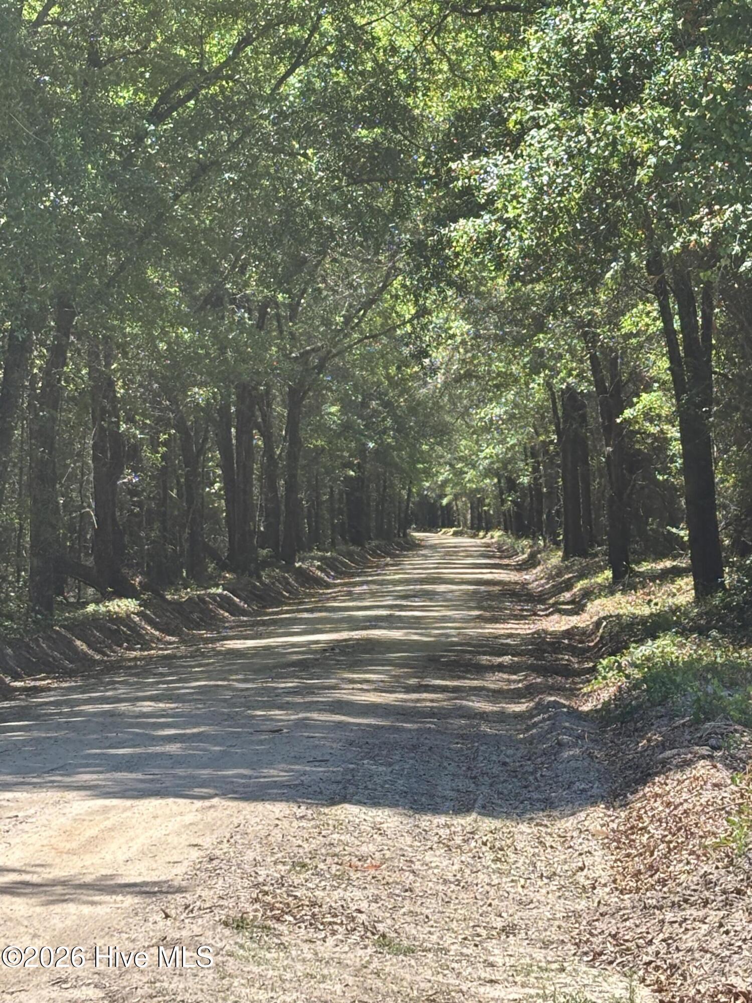0 Warbonnet Road Springfield, SC 29146 - Photo 3 of 16 Looking down WE from WB