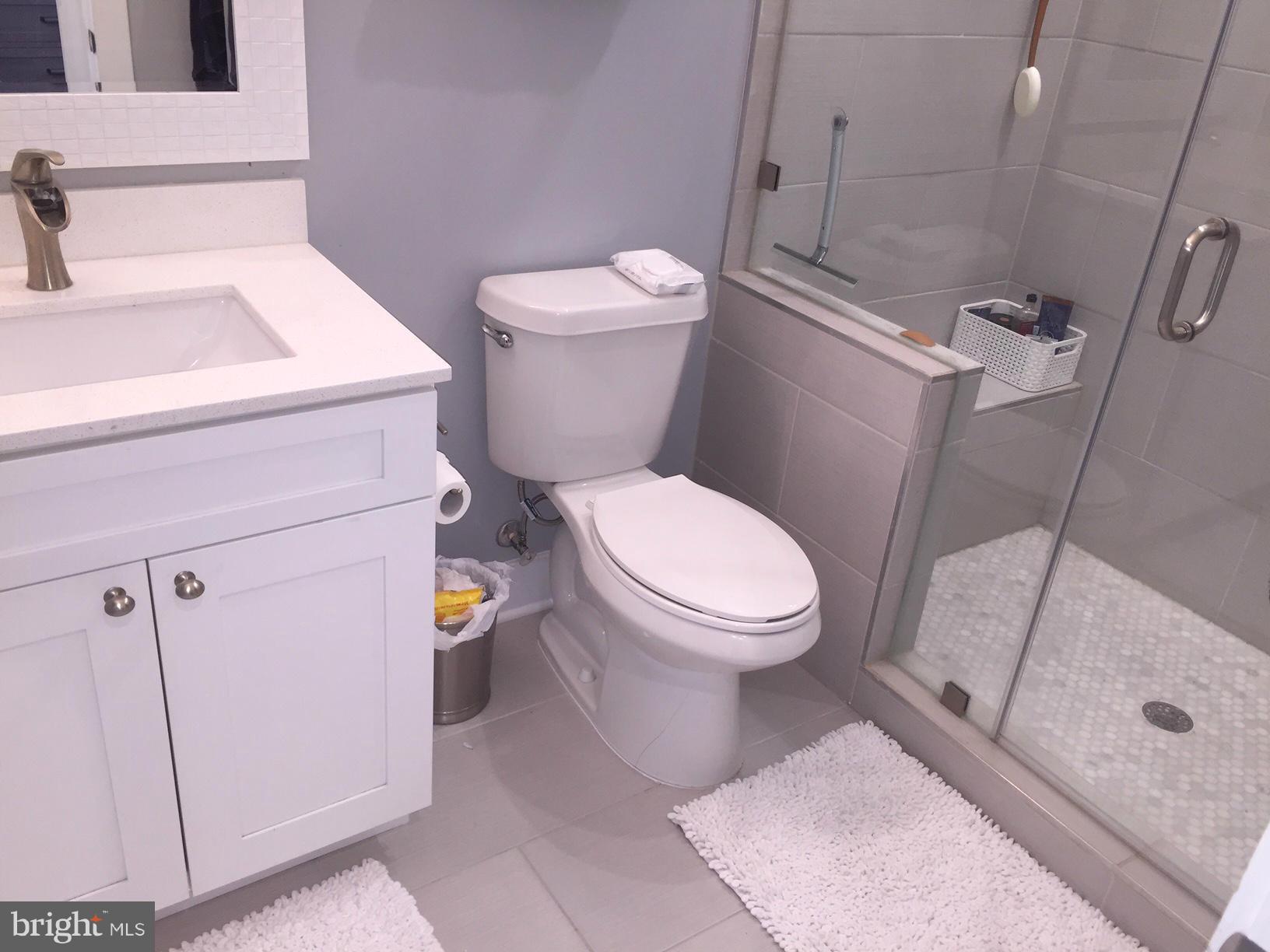 2016 D Street Northeast, Unit 3 Washington, DC 20002 - Photo 11 of 28 Bath (Master)