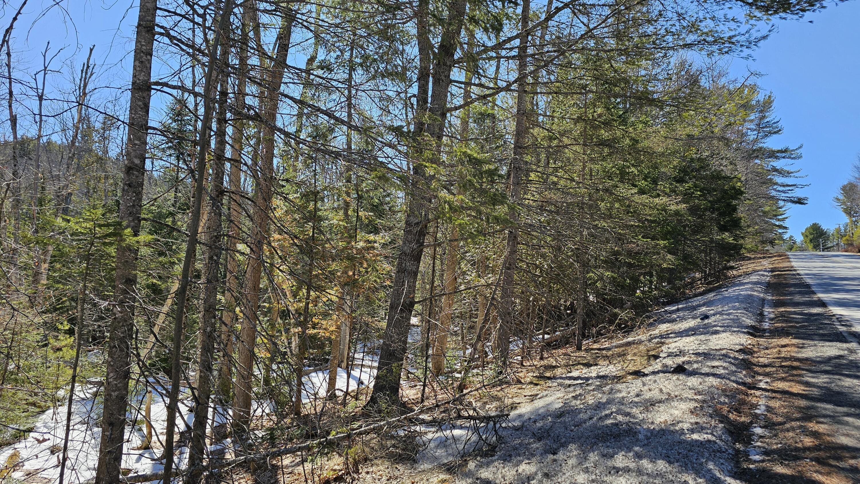 41 Kidder Hill Road Holden, ME 04429 - Photo 4 of 13 Looking up Road