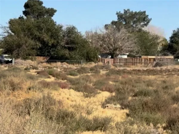 $45,000 | 0 172nd, Lancaster, CA 93535