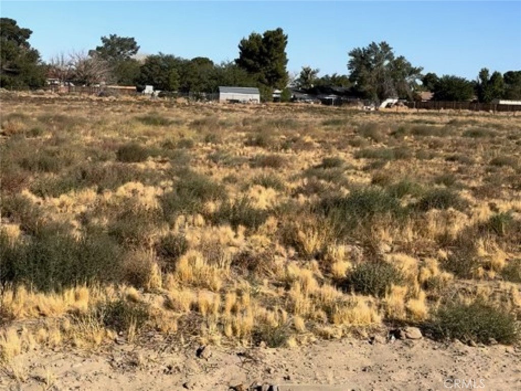 0 172nd Lancaster, CA 93535 - Photo 2 of 2 a view of a field with a tree