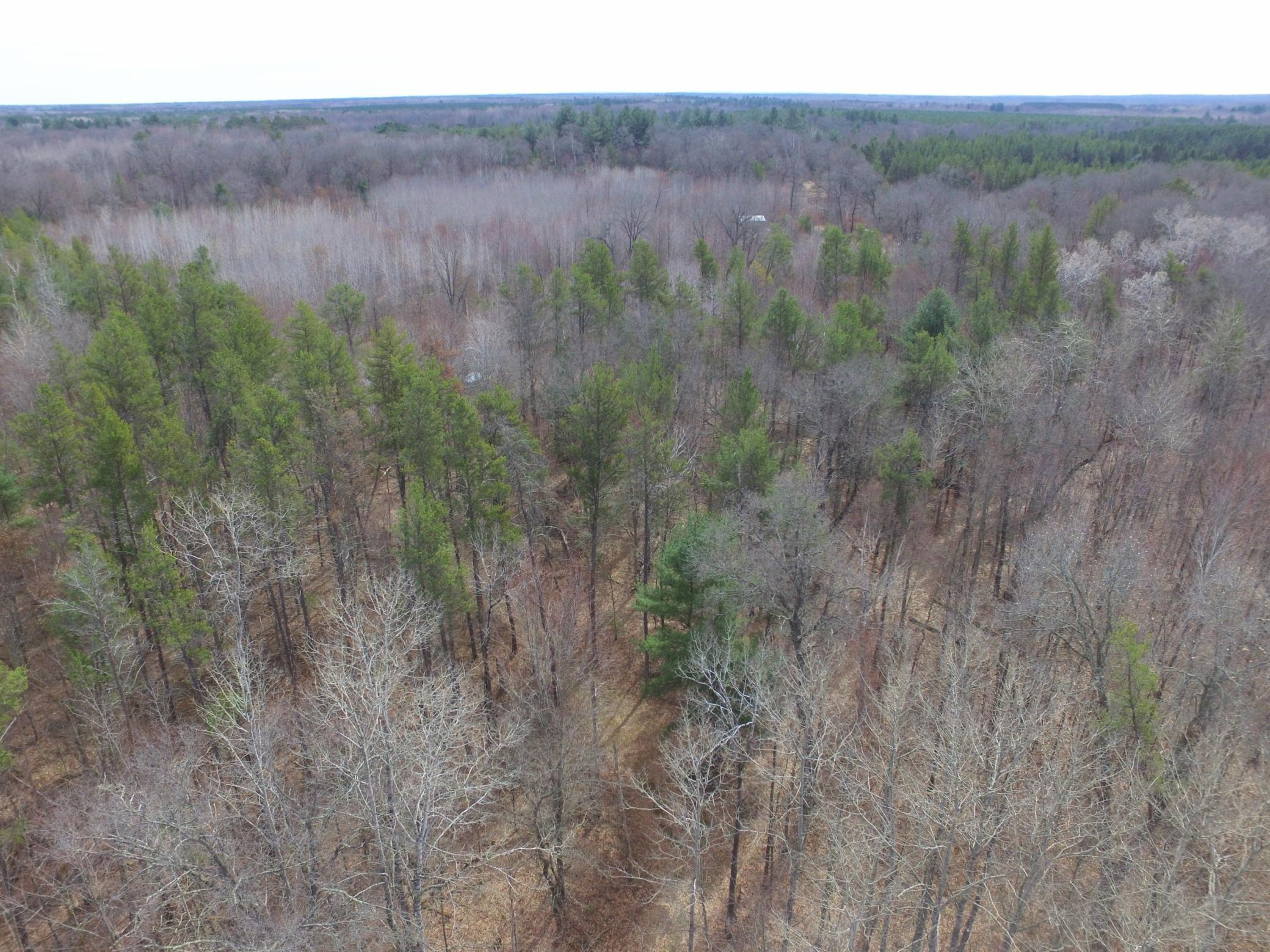 9274 Black Brook Road Webster, WI 54893 - Photo 20 of 46