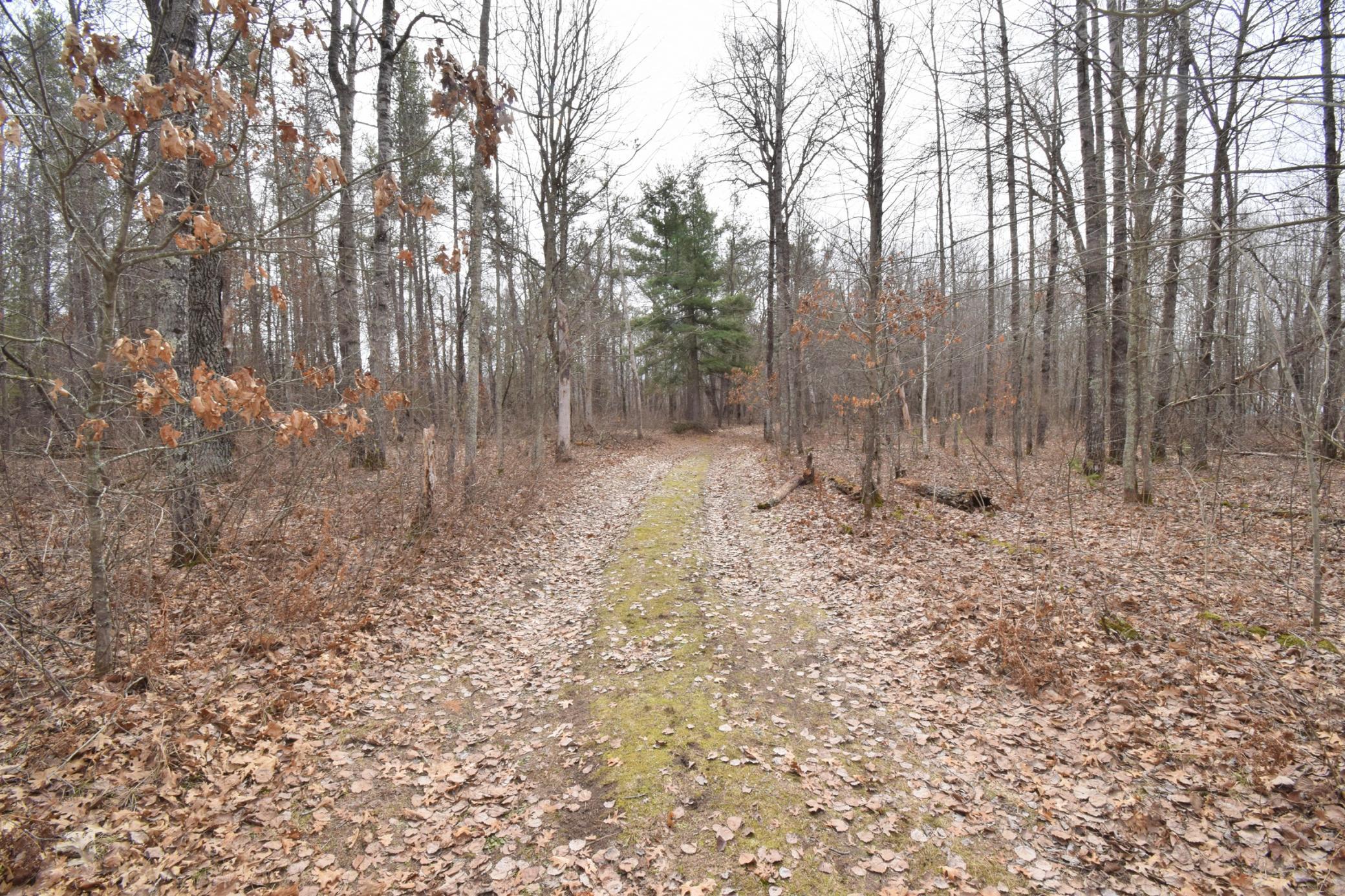 9274 Black Brook Road Webster, WI 54893 - Photo 27 of 46