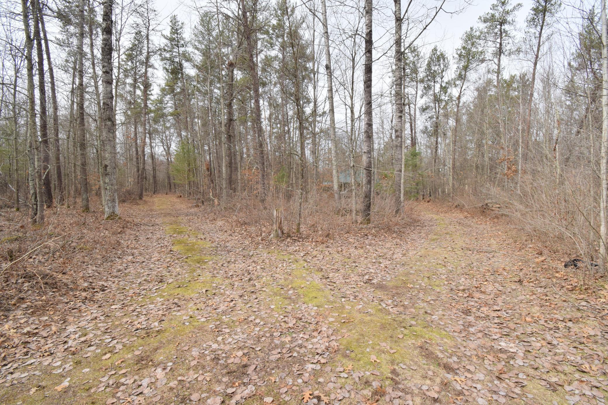 9274 Black Brook Road Webster, WI 54893 - Photo 29 of 46