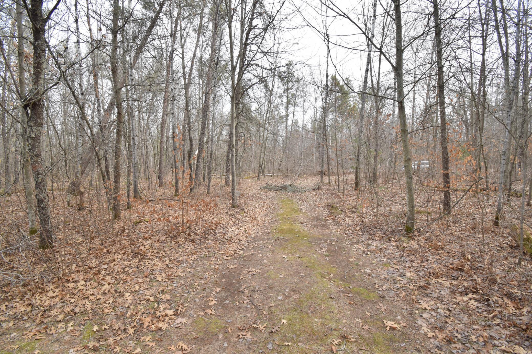 9274 Black Brook Road Webster, WI 54893 - Photo 38 of 46