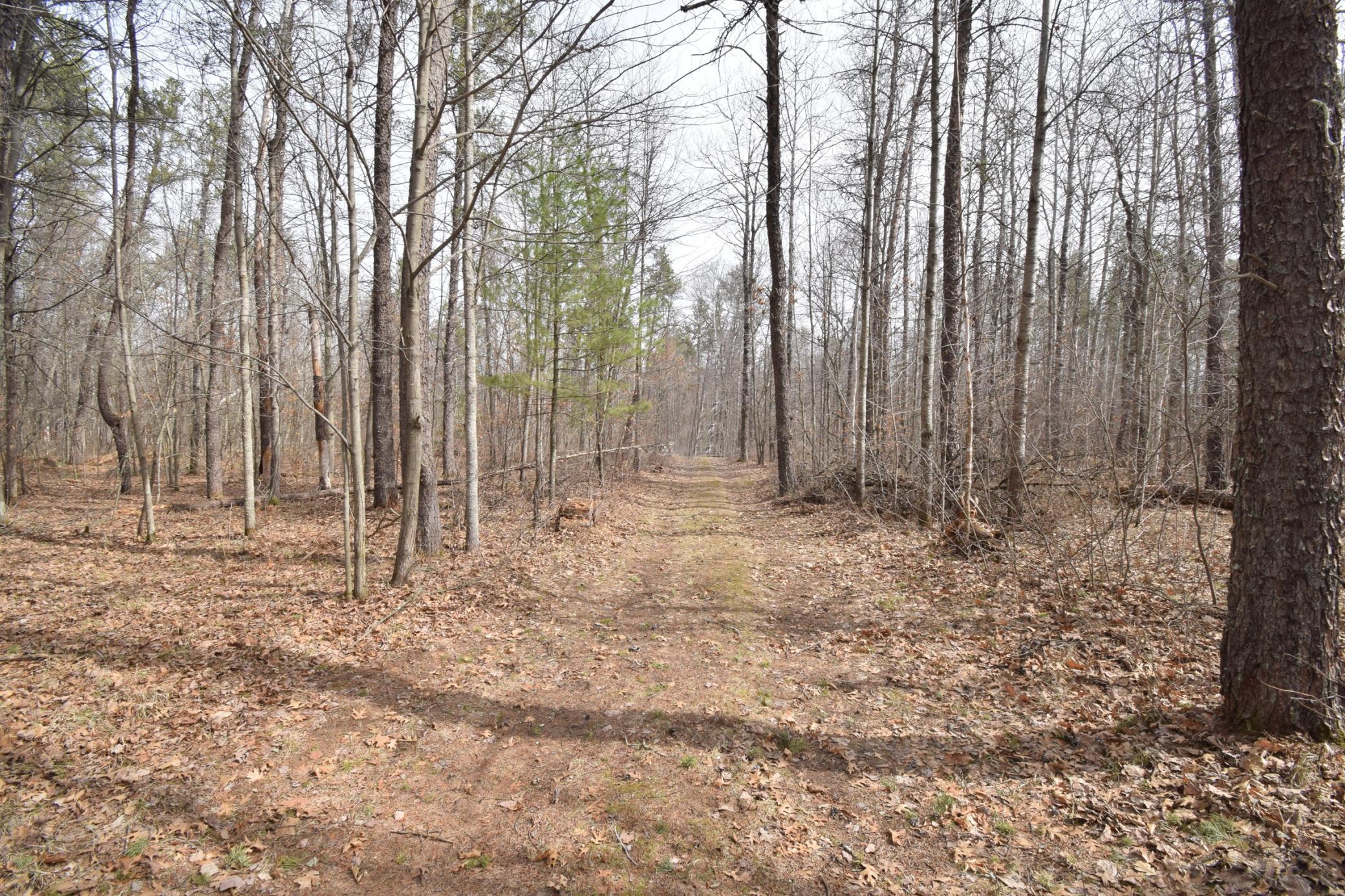 9274 Black Brook Road Webster, WI 54893 - Photo 41 of 46