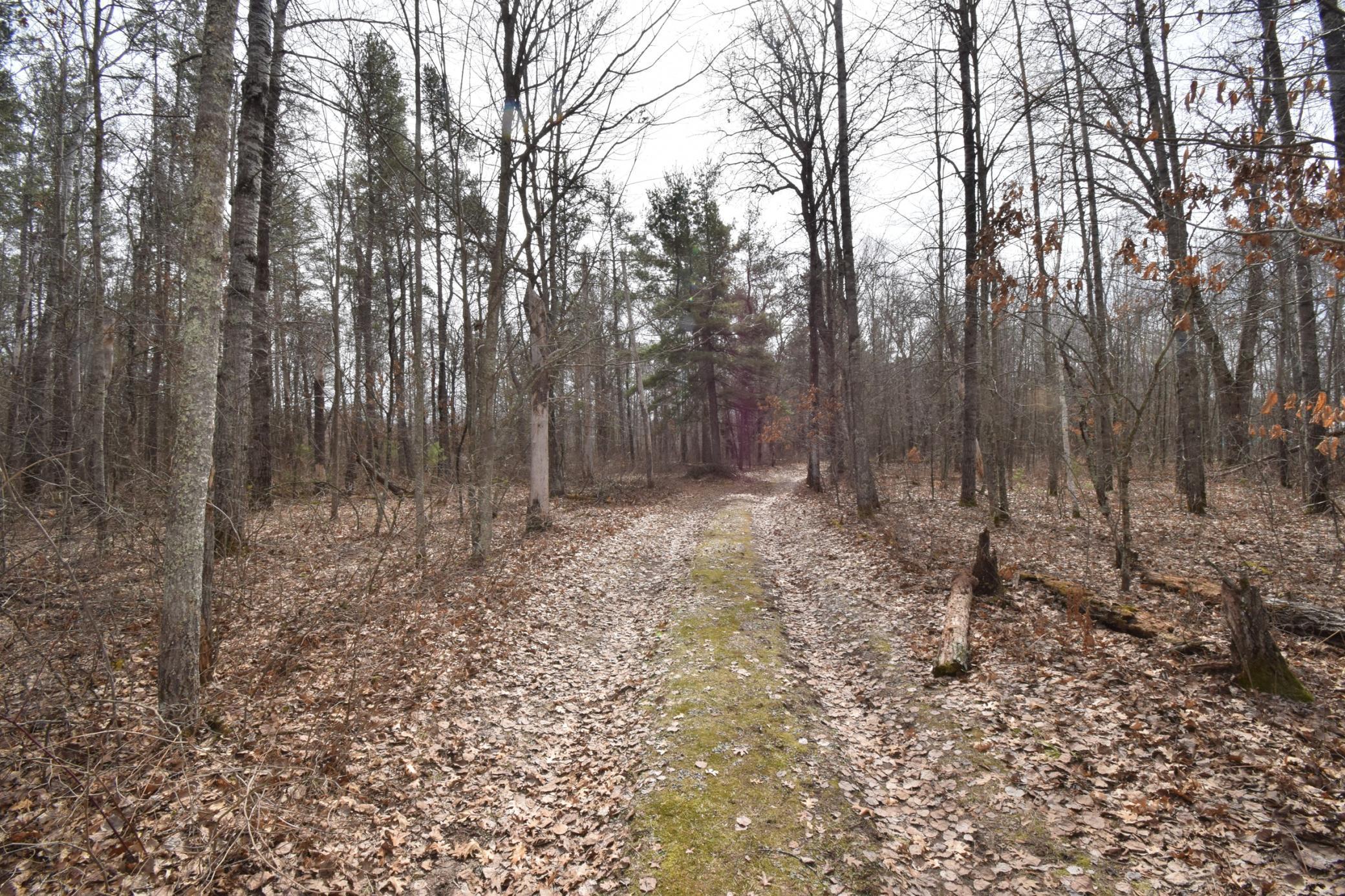 9274 Black Brook Road Webster, WI 54893 - Photo 43 of 46