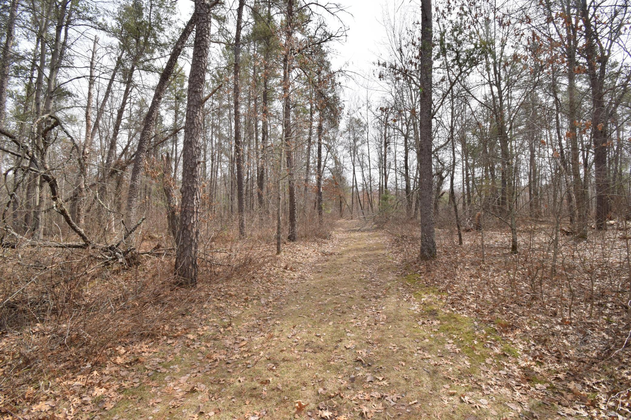 9274 Black Brook Road Webster, WI 54893 - Photo 45 of 46