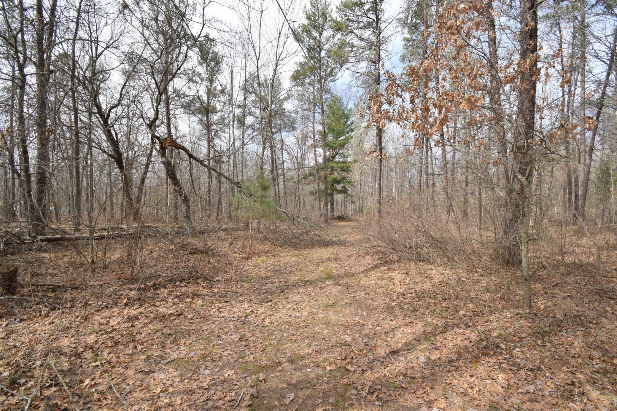 9274 Black Brook Road Webster, WI 54893 - Photo 46 of 46