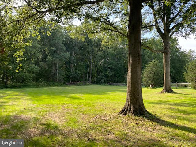 2301 Harmonyville Road Elverson, PA 19520 - Photo 8 of 42 Back Yard