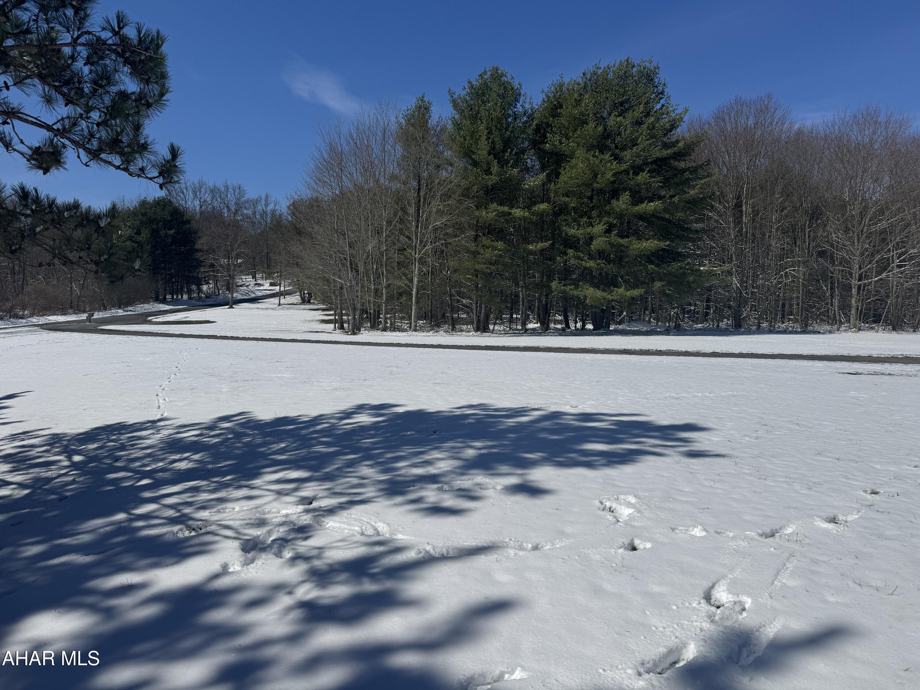 345 Mine 10 Road Beccaria, PA 16616 - Photo 6 of 25