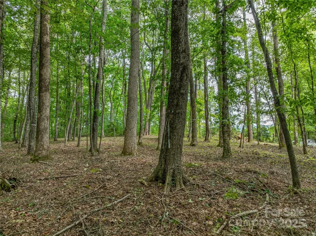 $3,550,000 | 644 Walnut Valley Parkway, Arden, NC 28704