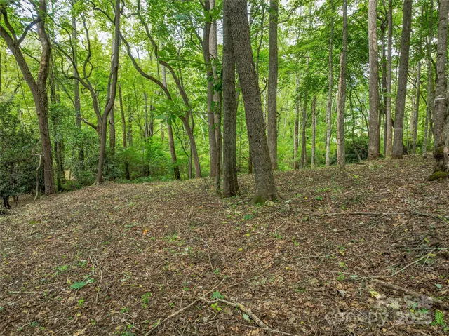 $3,550,000 | 644 Walnut Valley Parkway, Arden, NC 28704