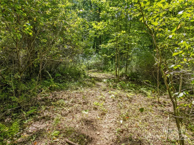 $3,550,000 | 644 Walnut Valley Parkway, Arden, NC 28704