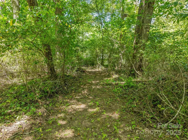 $3,550,000 | 644 Walnut Valley Parkway, Arden, NC 28704