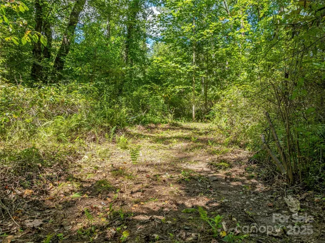 $3,550,000 | 644 Walnut Valley Parkway, Arden, NC 28704