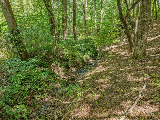 $3,550,000 | 644 Walnut Valley Parkway, Arden, NC 28704