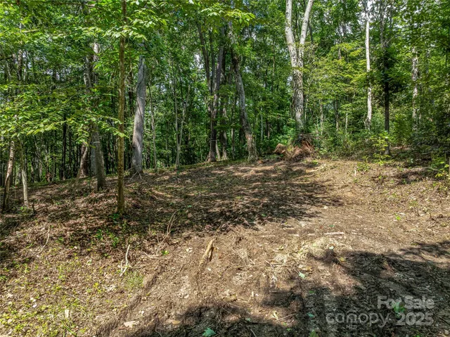 $3,550,000 | 644 Walnut Valley Parkway, Arden, NC 28704