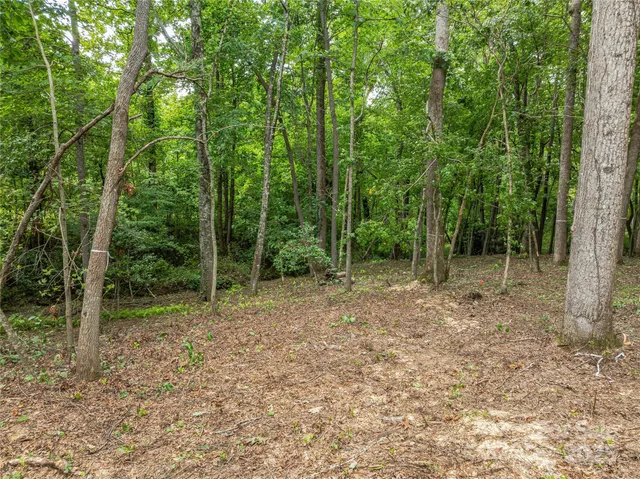 $3,550,000 | 644 Walnut Valley Parkway, Arden, NC 28704