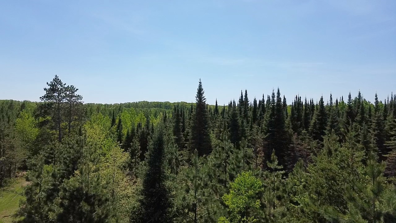 349 X 5th Avenue Shell Lake, WI 54871 - Photo 6 of 37