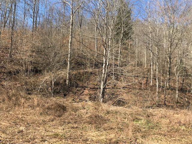 500 Daniel Morrison Road Frenchburg, KY 40322 - Photo 6 of 17 Photo 6