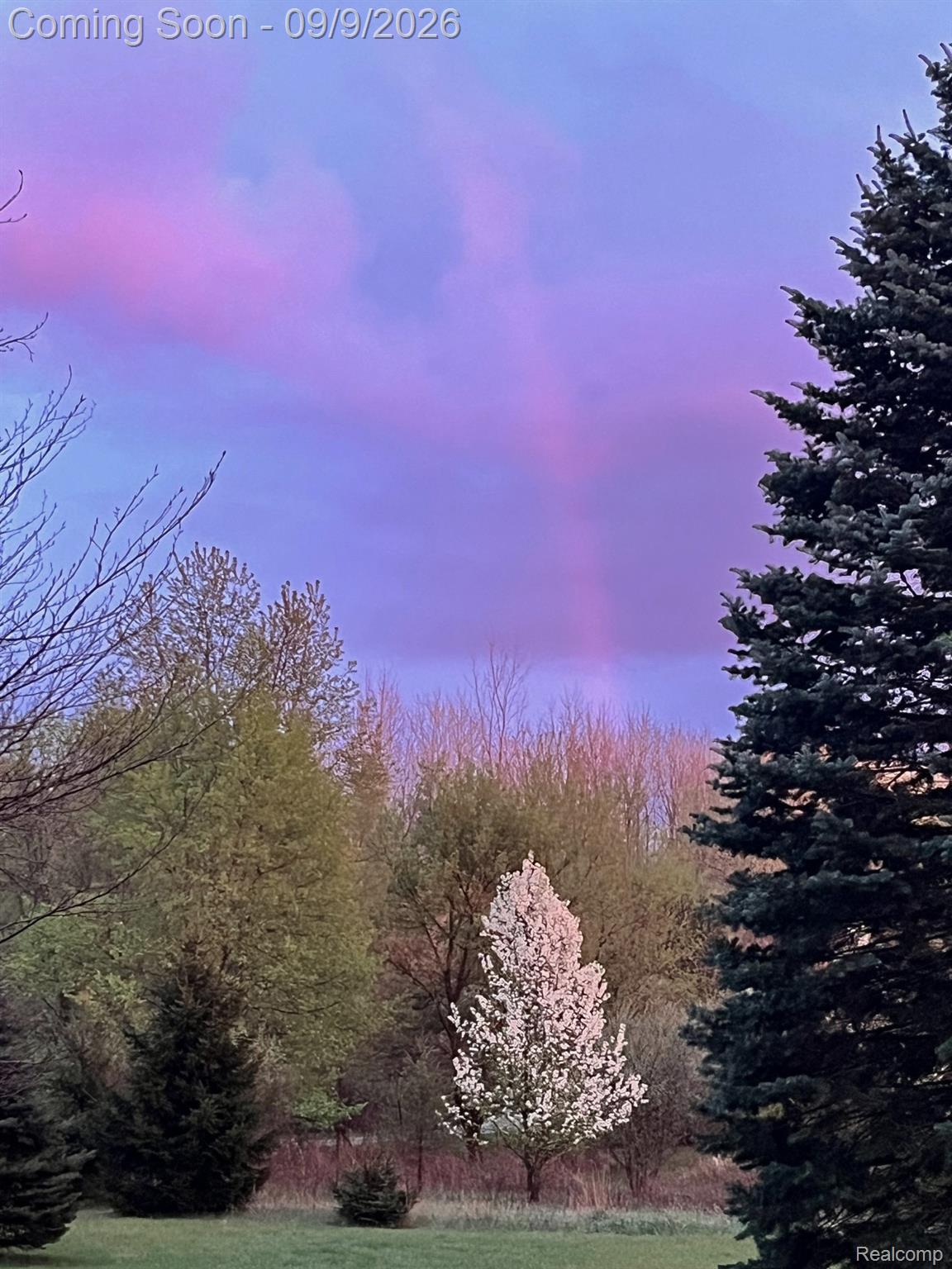 4701 East Allen Road Webberville, MI 48892 - Photo 67 of 75 Purple Rainbow.jpg