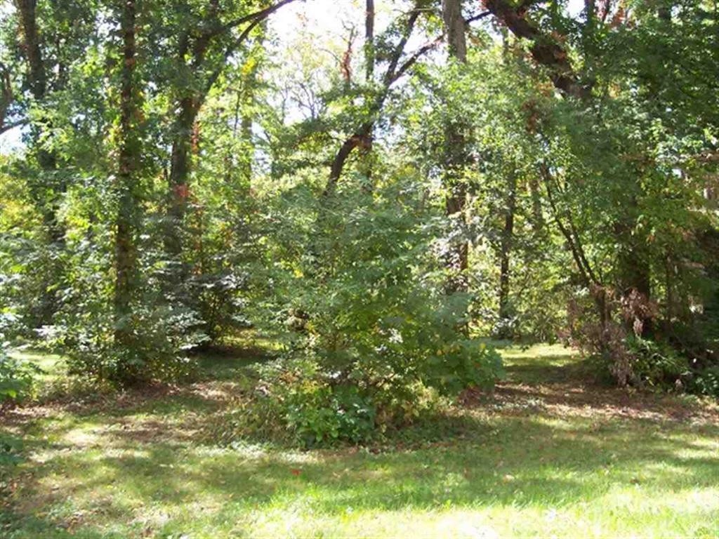 2151 Lake Summerset Road Davis, IL 61019 - Photo 2 of 9