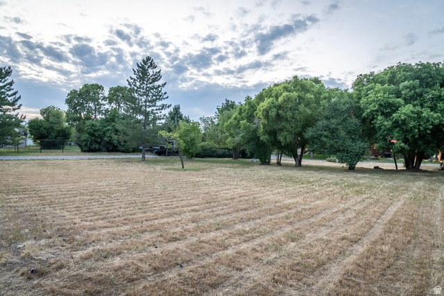 435 Canyon Road Millville, UT 84326 - Photo 86 of 113 Expansive lot featuring mature trees and a perimeter fence