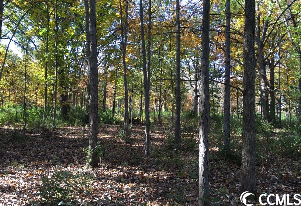 Lot 58 Low Country Loop Murrells Inlet, SC 29576 - Photo 1 of 1