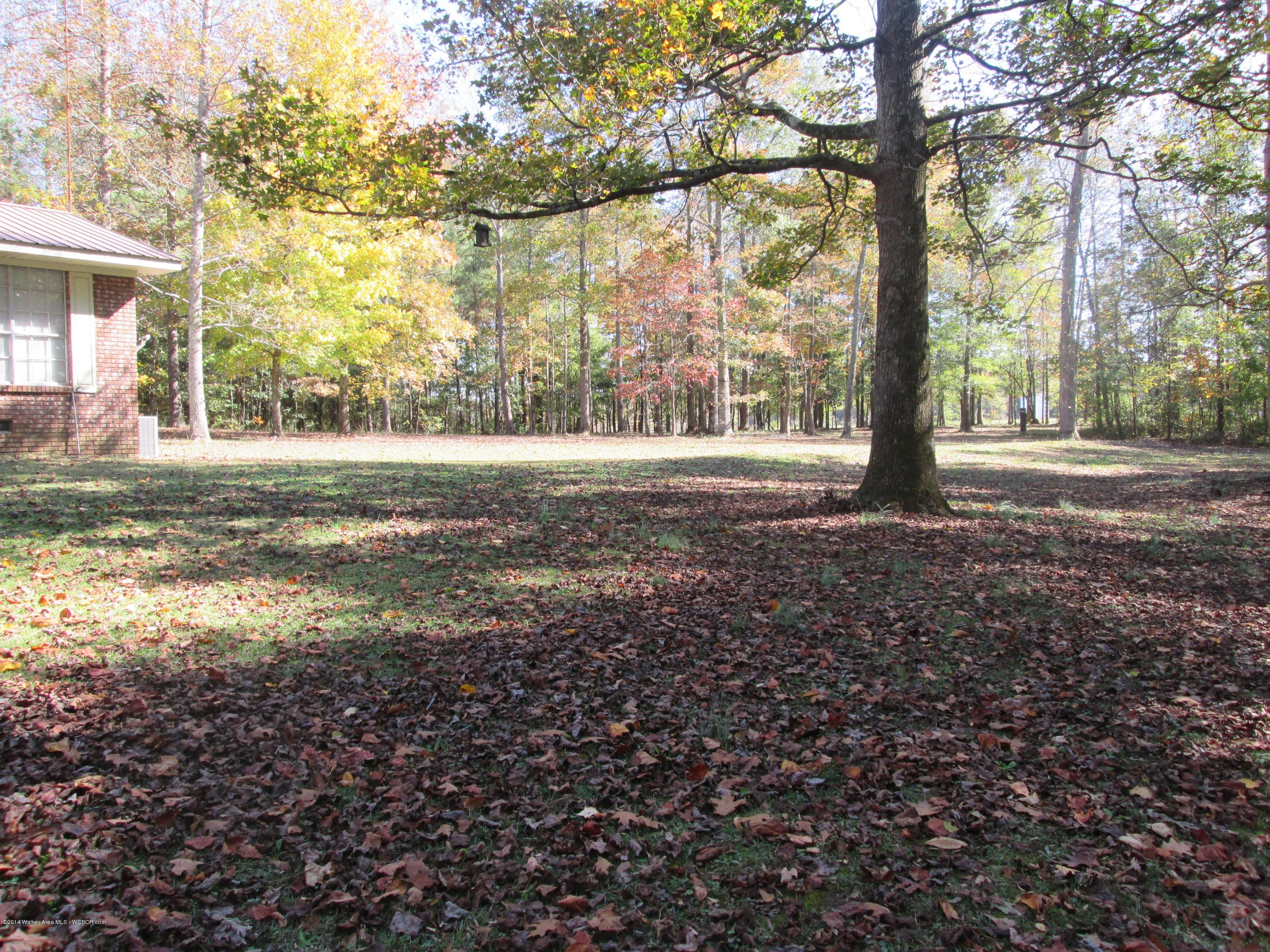 176 Kendrick Road Eldridge, AL 35554 - Photo 3 of 18 Gallery Image 3