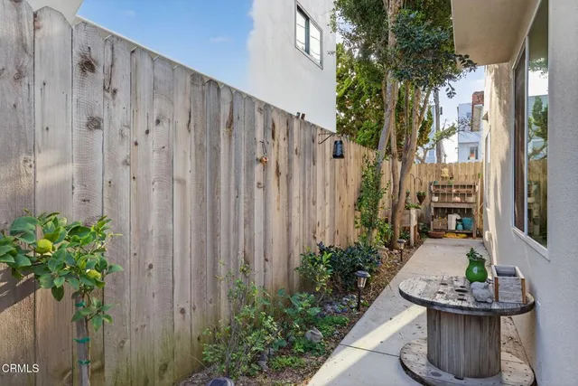 a potted plant sitting in front of a house with potted plants