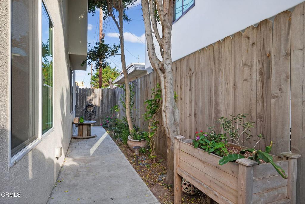 116 Pasadena Avenue Oxnard, CA 93035 - Photo 48 of 52 a potted plant sitting in front of a house with potted plants