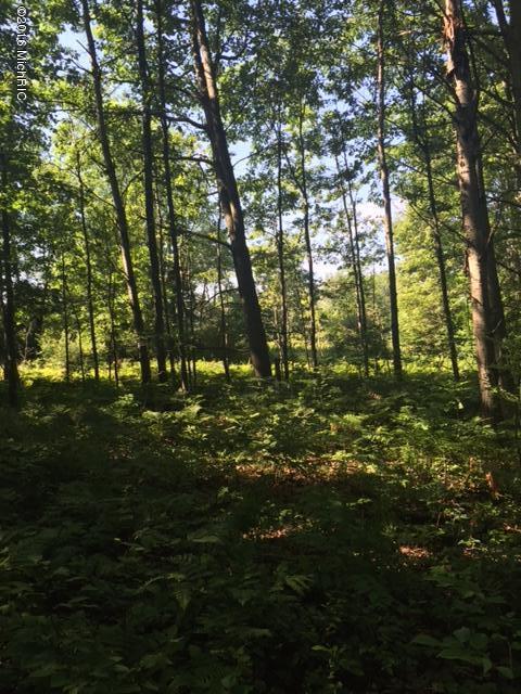 0 Amble Road Coral, MI 49322 - Photo 15 of 19 IMG_1645