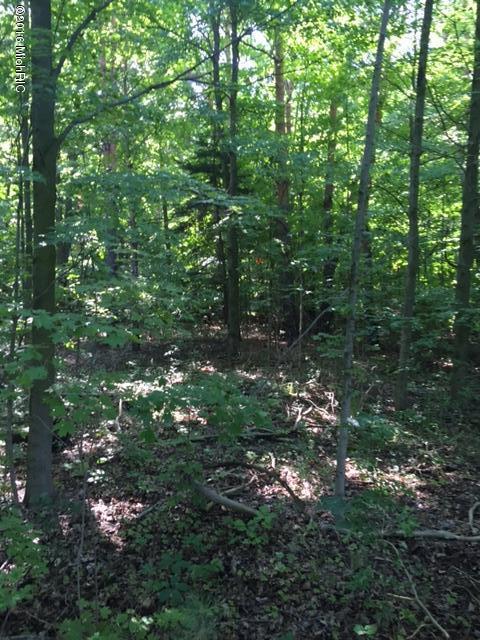 0 Amble Road Coral, MI 49322 - Photo 10 of 19 IMG_1636