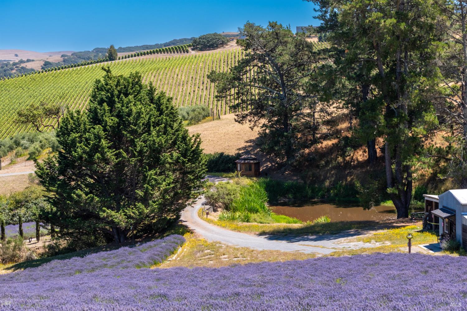 3518 Bloomfield Road Sebastopol, CA 95472 - Photo 75 of 88