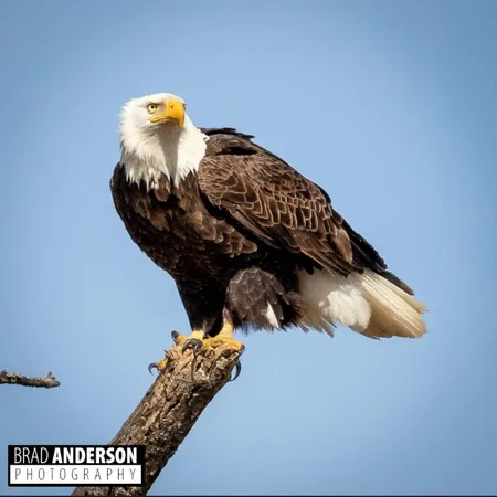 $495,000 | 30169 513th Avenue, Ottertail, MN 56571